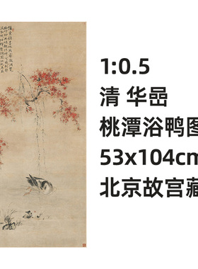 1:0.5 清 华嵒 桃潭浴鸭图 真新罗山人迹复制品53x104cm北京故宫