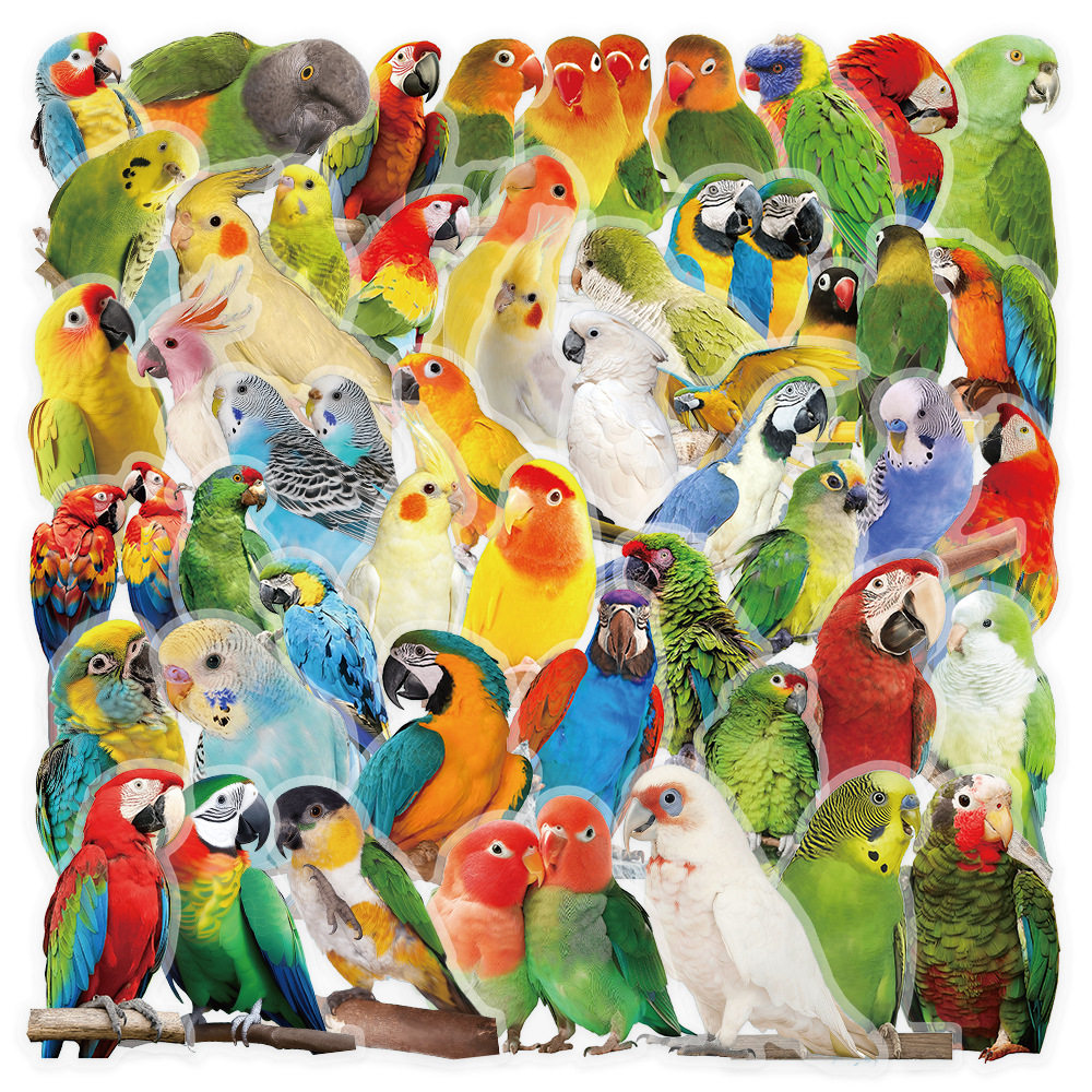 50张小鹦鹉贴纸装饰吉他手机壳防水儿童奖励透明PET防水小鸟贴画