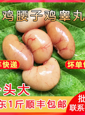 鸡子鸡腰子公鸡蛋公鸡睾丸阉蛋