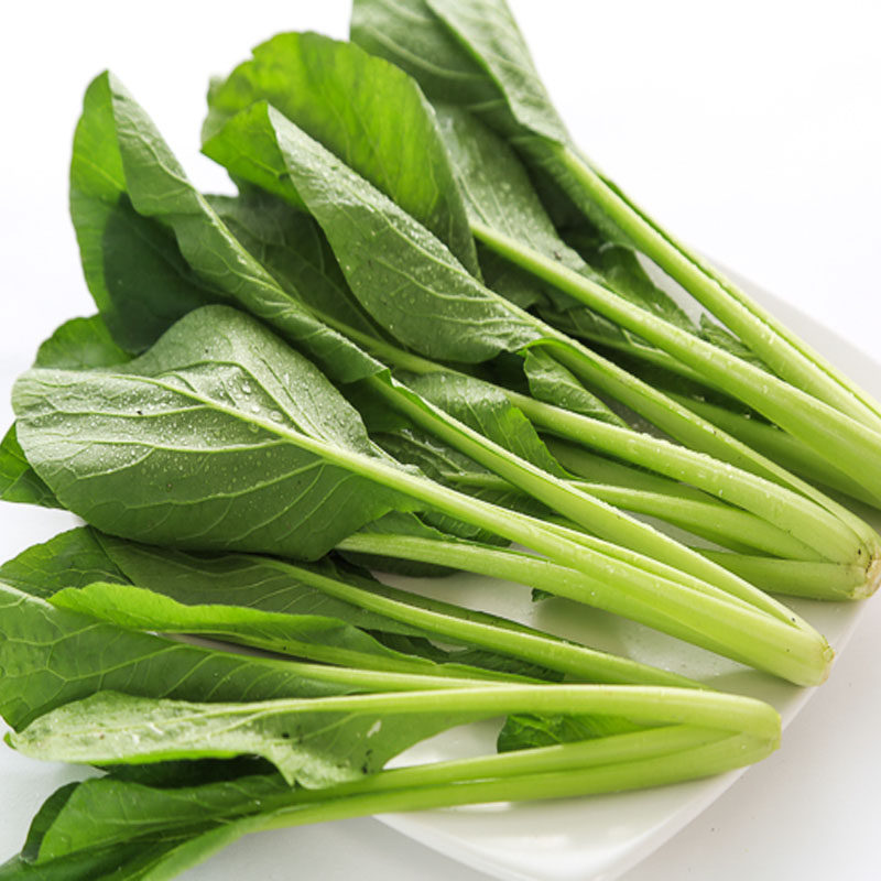Up-and-coming star KOMATSU seed Japan Cole Chinese Cabbage balcony Vegetable garden Grow Rapid Vegetables seed Easy speciesin the Flower delivery/Flowers simulation/Plants gardening , Flowers/Fruits and vegetables/Lawn seed (New) , Home &amp; Garden Seeds  category - from Buy2taobao.com to provide professional Taobao agent buy service