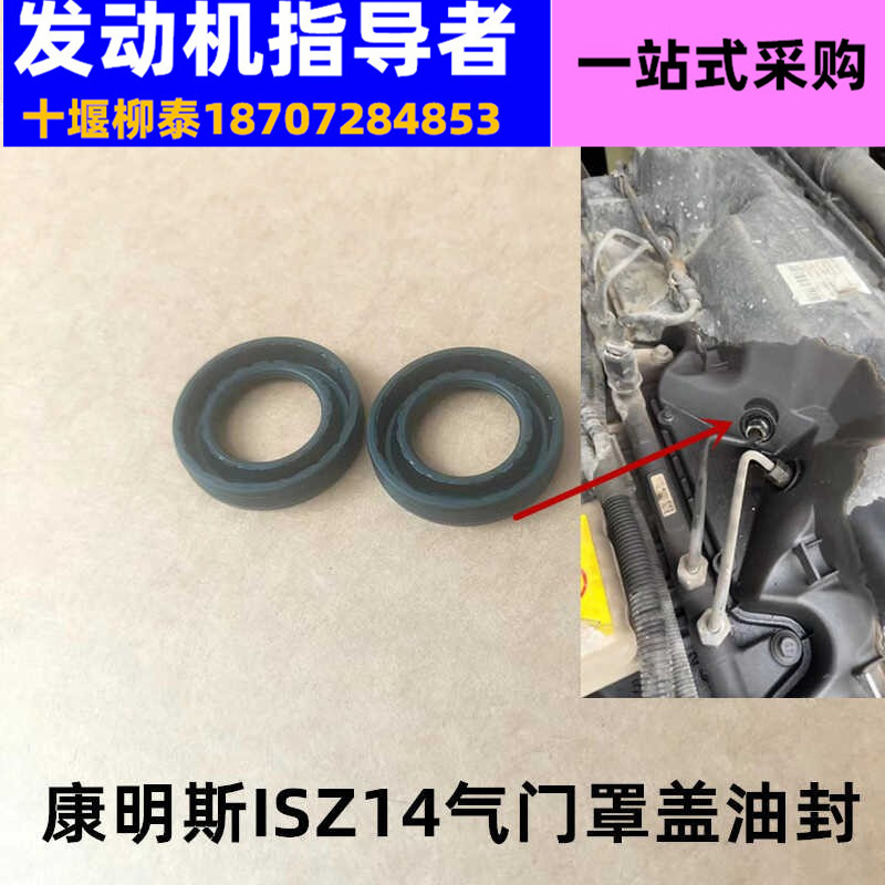 东风天龙旗舰Z14喷油器油封