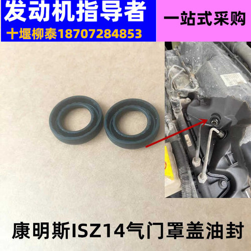 东风天龙旗舰Z14喷油器油封