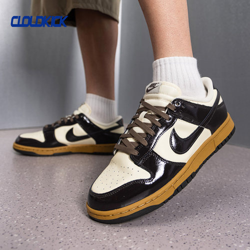 Nike/耐克 DUNK LOW RETRO DIM2 男子复古运动休闲鞋 IM4415-201
