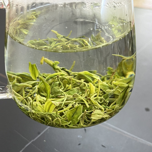 2026年新茶口粮炒青常熟虞山白茶工艺手工炒青绿茶实物拍摄