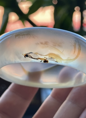 云臻阁天然海洋玉髓草花高冰透小草象形恐龙风景玛瑙手镯55口径