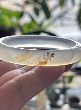 天然马料海洋玉髓草花象形崖柏景观冰透意境玛瑙手镯金沙小草55口
