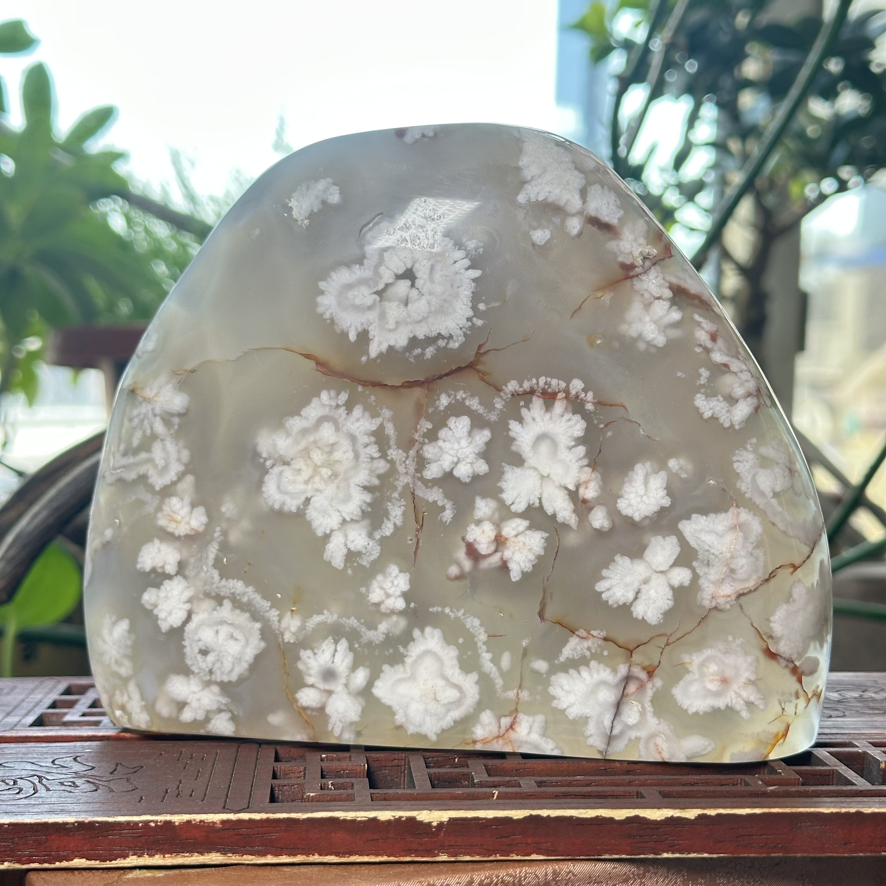 天然马料海洋玉髓冰透绽放樱花大雪红脉原石摆件红枝梅花玛瑙景观