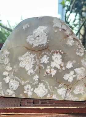 天然马料海洋玉髓冰透绽放樱花大雪红脉原石摆件红枝梅花玛瑙景观