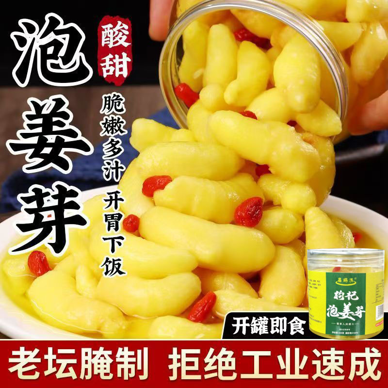 枸杞姜芽新鲜嫩姜仔姜