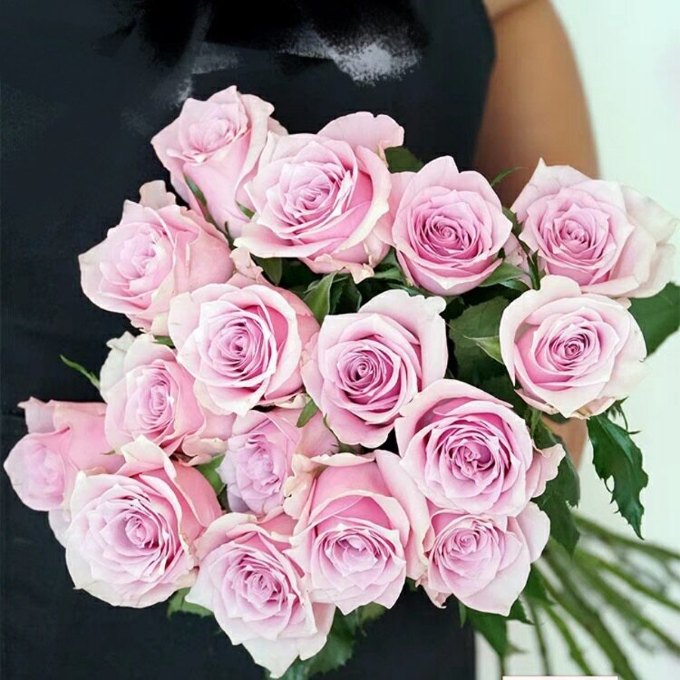 昆明基地直发稀有粉色玫瑰花空运包邮鲜花真花家庭办公室插花