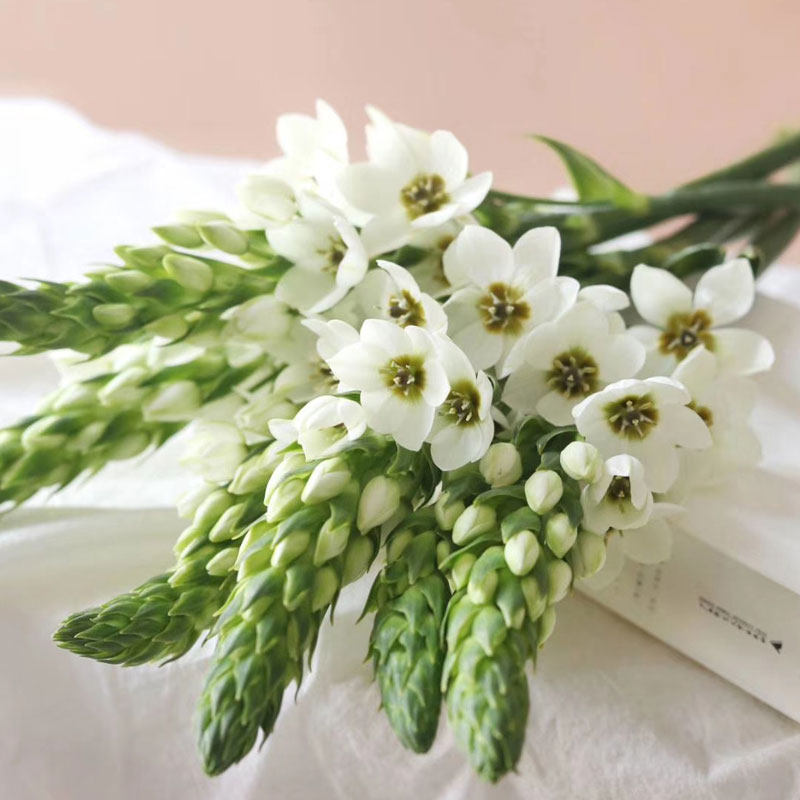 雀梅鲜花天鹅绒伯利恒之星圣心百合家庭办公室插花束云南基地包邮