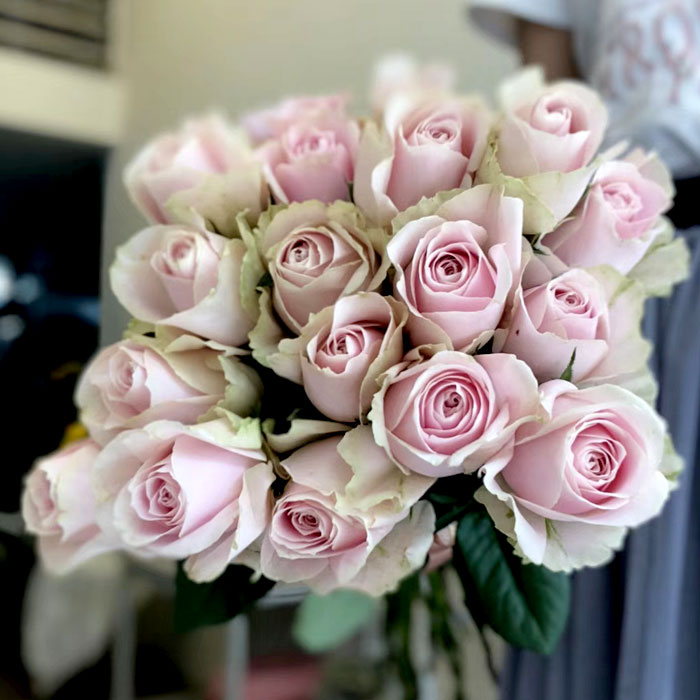 昆明鲜花粉玫瑰粉佳人迷恋雪山婚礼家庭插花求婚表白送女友包邮