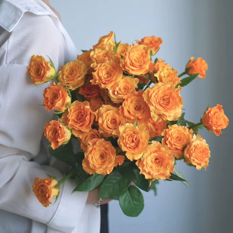 金色海岸玫瑰稀有波浪边昆明基地鲜花家庭办公室插花高端花束包邮