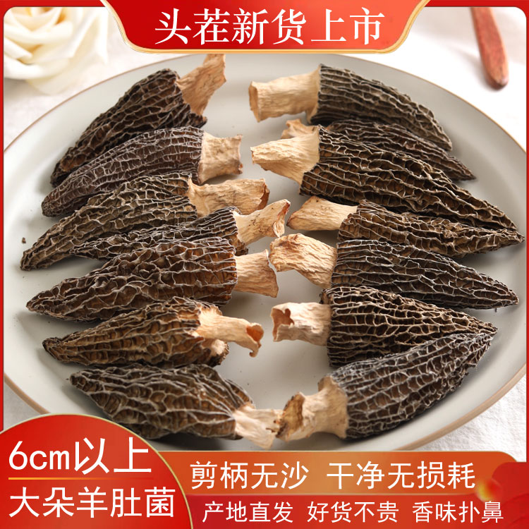 【2025头茬】大朵羊肚菌-剪柄-