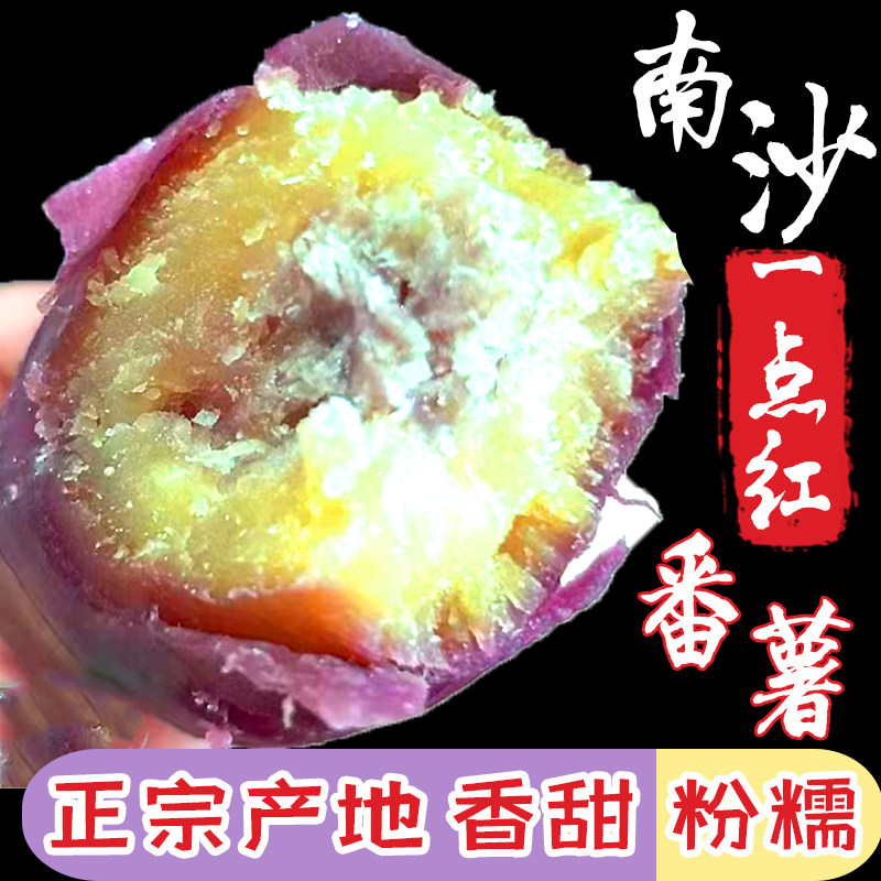 正宗广州南沙一点红番薯新鲜现挖冰淇淋红薯板栗薯农家自种蜜薯哦