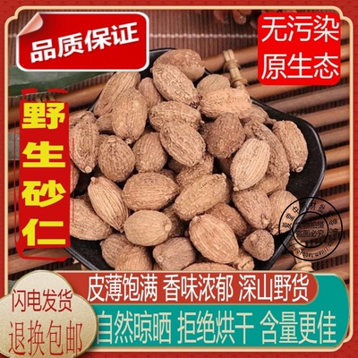 砂仁 中药材新货无硫阳春砂仁 毛砂仁砂仁茶卤菜香料包邮