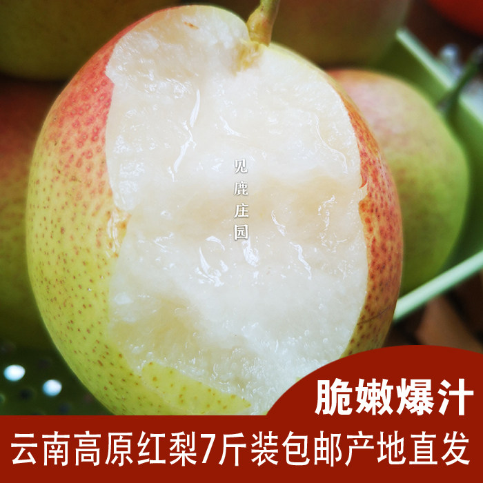 见鹿庄园云南红梨大果12个7斤包邮高原新鲜水果酥梨酸甜非火把梨