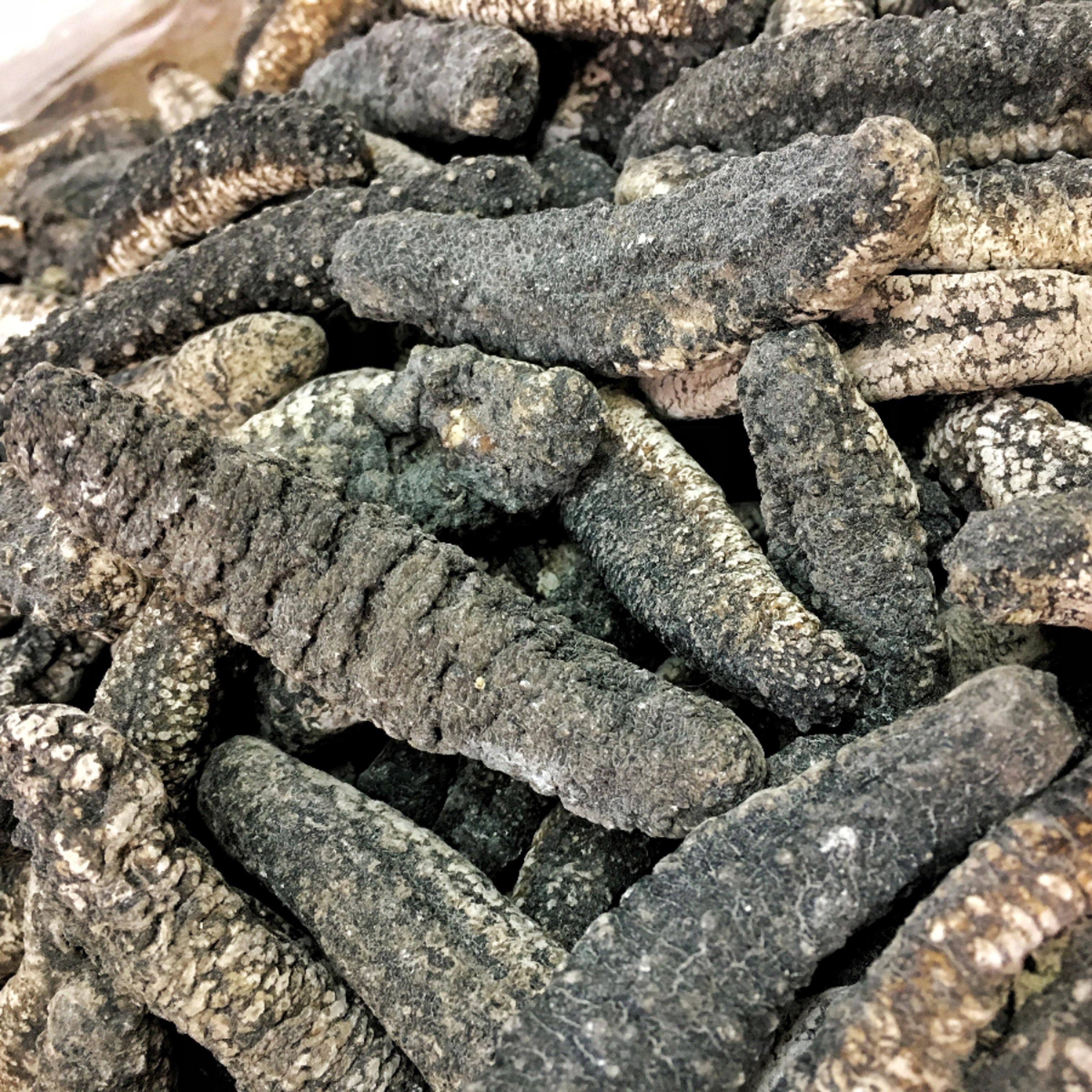 澳洲海参淡干高蛋白高泡发率低脂