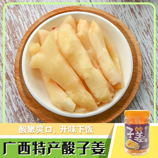 酸姜广西嫩姜芽子姜酸500g瓶装 新鲜腌制仔姜酸泡菜 特产下饭泡姜