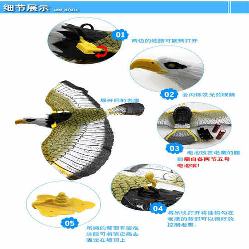 动物玩具仿真老鹰鹦鹉能飞会叫