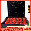 包邮 正宗丹东九九大草莓网红草莓礼盒黑金版 奶油新鲜草莓大果空运