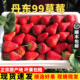 现货丹东草莓大果新鲜99草莓红颜九九牛奶草莓孕妇水果空运礼盒装