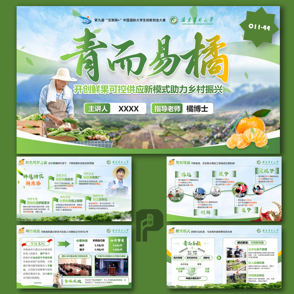 互联网+创新创业乡村振兴项目汇报PPT模板