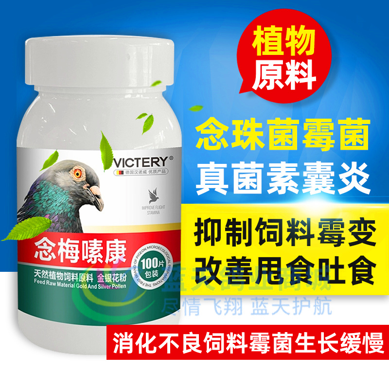 漢諾威賽鴿信鴿甩拉吐念梅嗉康