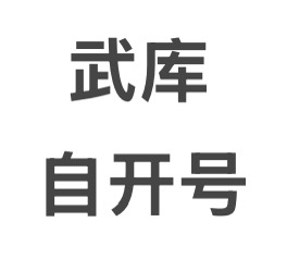 Cs2武库自开号 武库通行证星星号 csgo大行动自抽