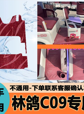 专用于林鸽C09电动三轮车脚垫子雪妮丝脚踏垫皮革脚踩垫防水地垫