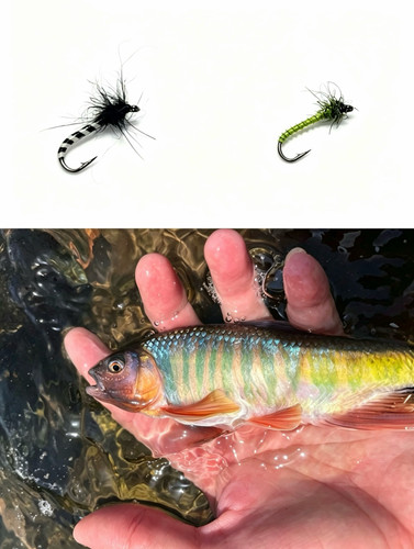 石蚕幼虫飞蝇钩手工精绑若虫毛钩溪流微物路亚飞钓马口溪哥桃花