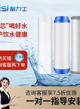 9.3寸PP棉滤芯通用RO膜后置T33家用壁挂式一年量净水机直饮水机YS