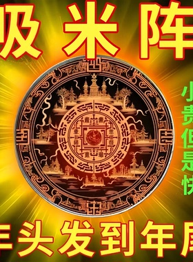 正一道吸米财运阵福坠招财进宝男女通用财库吊坠挂饰龙虎山普陀