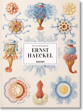 现货 英文原版 海克尔 进口艺术 THE ART OF ERNST HAECKEL. COMPLETE PLATES