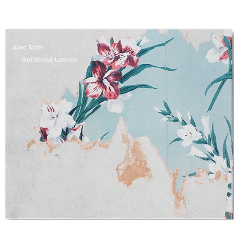 现货 英文原版 Alec Soth明信片 Alec Soth: Gathered Leaves 亚历克·索斯: 收集的树叶 明信片 阿勒克·索思