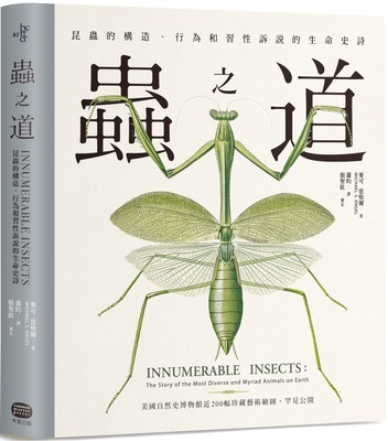 在途 虫之道：昆虫的构造、行为和习性诉说的生命史诗 大家出版 麦可-恩格尔