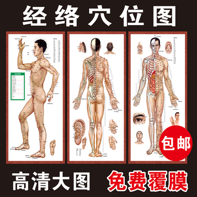 标准针灸人体经络穴位大挂图 全套中医针灸标准挂图 养生保健挂画