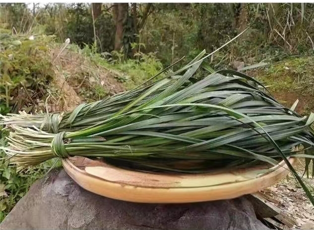 麦冬河南土麦冬散装泡酒去苦