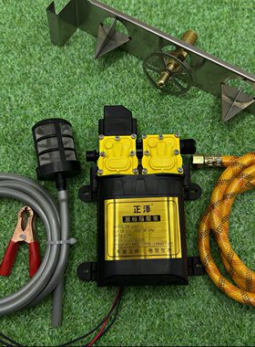 德国进口农药开瓶洗瓶器高压12V冲洗器双泵加强款洗瓶神器不锈钢