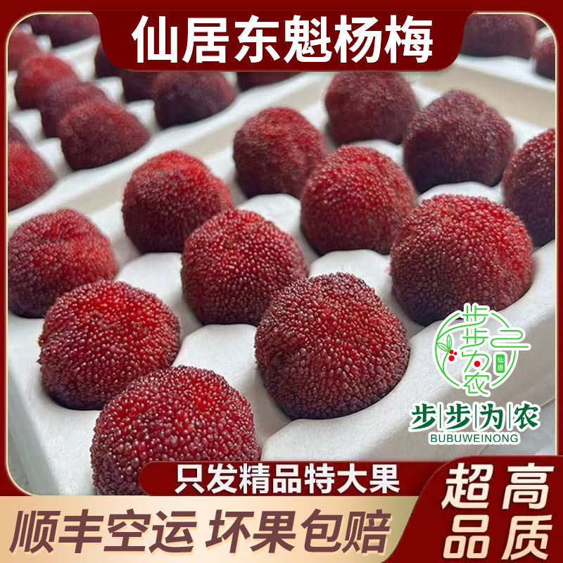 正宗仙居杨梅新鲜孕妇高山东魁特级大杨梅浙江台州蛋壳颗粒礼盒装