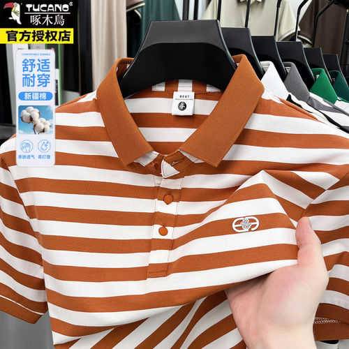 啄木鸟夏季新款翻领条纹短袖POLO衫男士棉质休闲百搭T恤半袖上衣