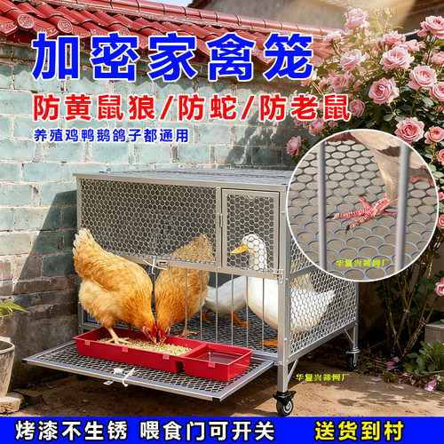 防锈室外鸡笼子新型冲孔网加密养殖笼鸡鸭鹅鸽字兔子多功能铁网笼