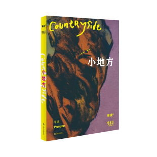 漫象集 小地方 Papayep工作室 包邮 主编 社 单读PLUS 上海文艺出版 现货 9787532183371