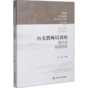 理论与实践探索 历史教师培训 9787569039528 四川大学出版 陈辉 现货 社 包邮