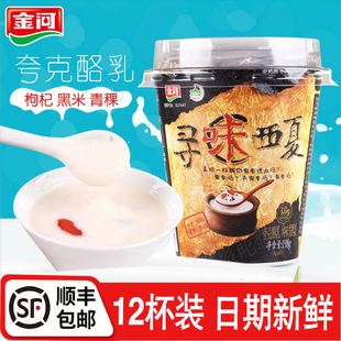 金河寻味西夏酸奶198g*12杯枸杞青稞黑米风味发酵乳脱脂益生菌