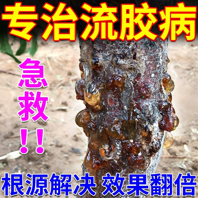 桃树流胶病专用喷剂药果树杏树李柚子樱桃树流胶疮痂病穿孔杀菌剂