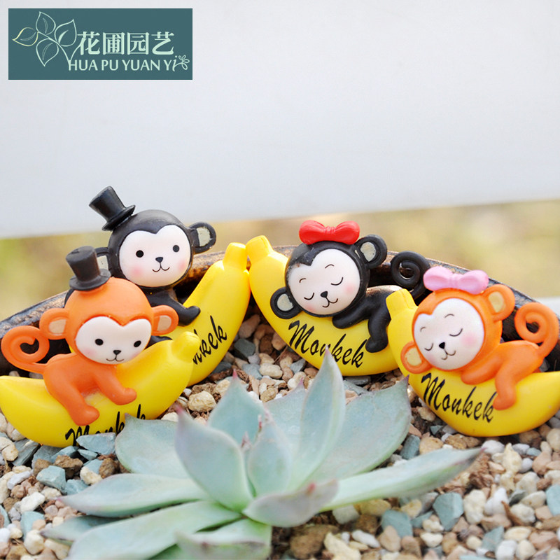 植物多肉玻璃微型香蕉猴子苔藓微景观微缩生态花瓶办公绿植盆栽|msdalam kategori penghantaran bunga/bunga simulasi/tumbuhan berkebun, Gardening Supplies, Peralatan Perkebunan lain - dari Buy2taobao.com untuk memberikan perkhidmatan ejen Taobao profesional membeli