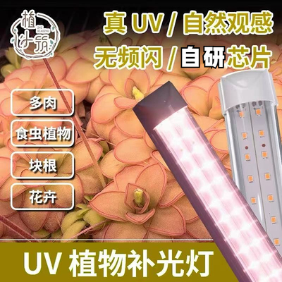 植小筑XT8绿植补光灯 LED 仿太阳室内全光谱UV食虫植物多肉增色