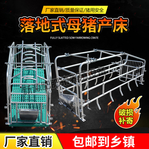 落地式母猪产床限位栏养殖设备
