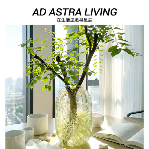 AD·ASTRA·大肚瓶玻璃摆件